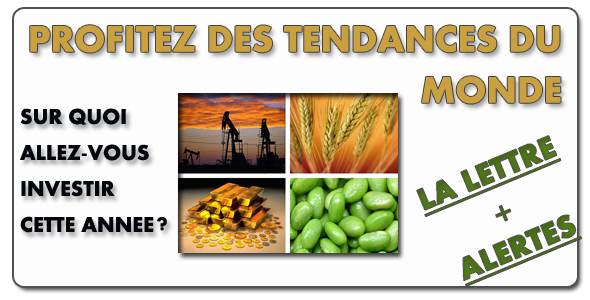 surfer les grandes tendance surfer les grandes tendance