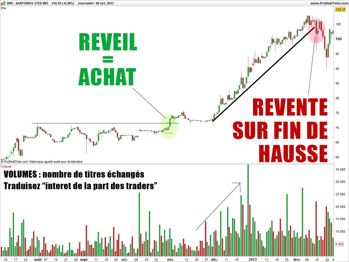 Afera forex 2011